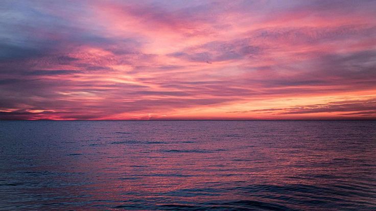 12 Best Free Summer Wallpapers Of 2022 12 Best Free Summer Wallpapers Of 2022