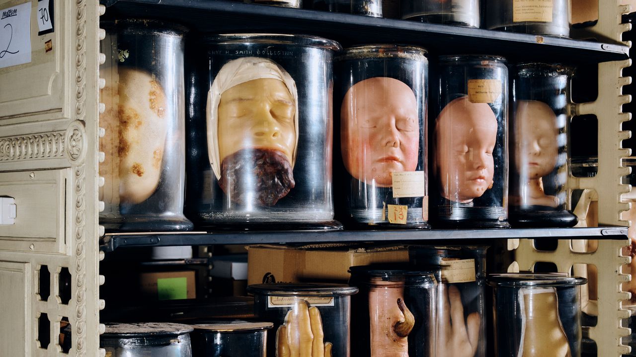 Are Young People Having Enough Sex The New Yorker Are Young People Having Enough Sex The New Yorker