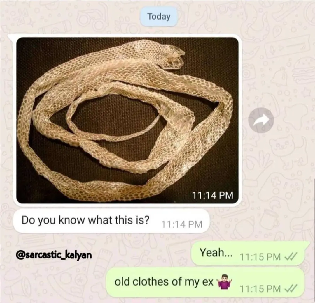 The Secrets of Zoo Erotica