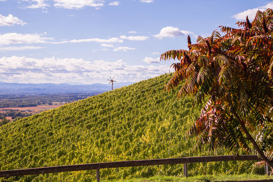 Exploring Images Browse 1 162 583 Stock Photos Vectors And Video