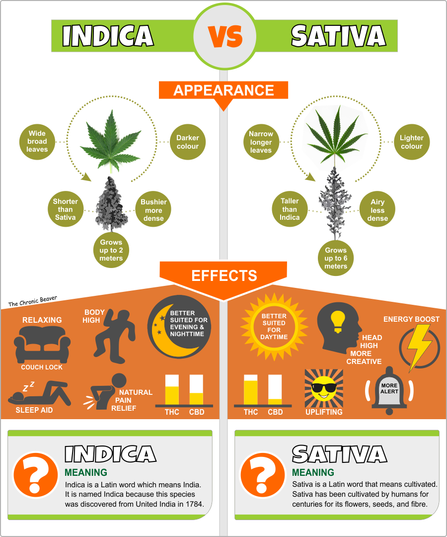 Sativa Vs Indica Chart