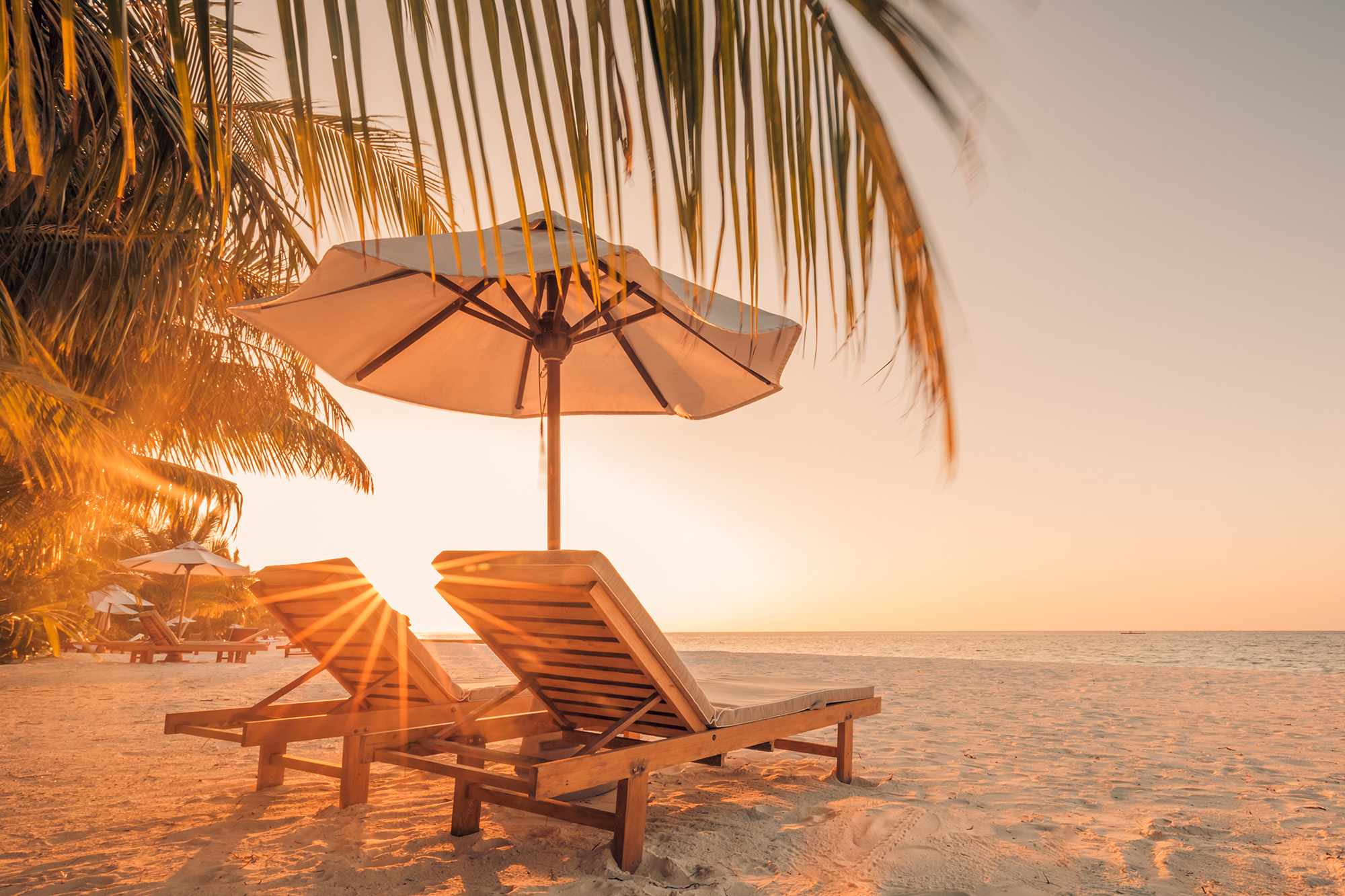 Scientists Discover Summer Is More Stressful Than Winter Scientists Discover Summer Is More Stressful Than Winter