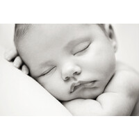 Sister Sister Dallas Family Sessions Miette Photography