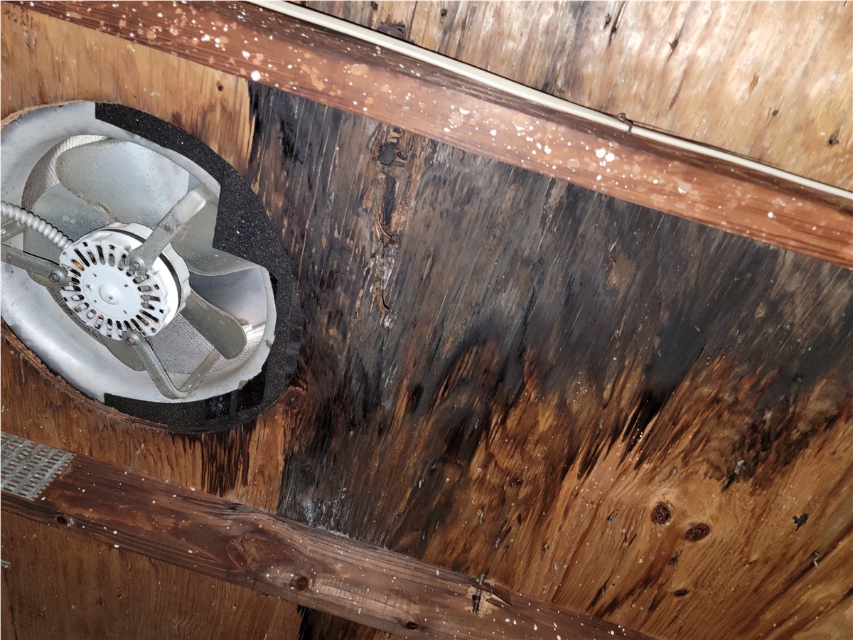 Unveiling The Truth The Costly Consequences Of Ignoring Roof Leaks